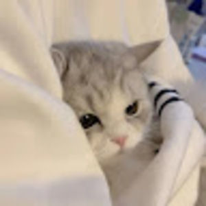 Meet your Posher, Daniella